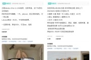妻乐无穷闲鱼：LABUBU搜索量环比上涨1000%，供不应求下现租赁新形式