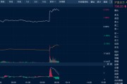 妻乐无穷油价金价，双双大涨！