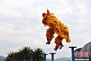 妻乐无穷（文化中国行）壮乡狮舞闯南洋：脚踏“云桩” 饮誉海内外